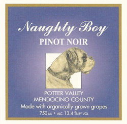 2019 Naughty Boy Pinot Noir